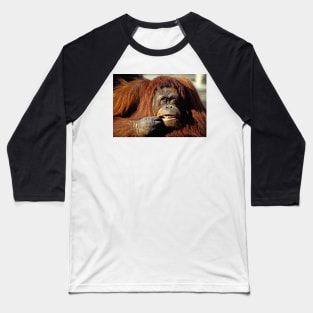 Orangutan Baseball T-Shirt